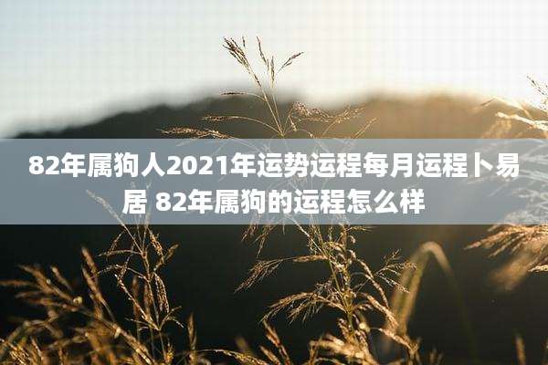 82年属狗人2021年运势运程每月运程卜易居 82年属狗的运程怎么样