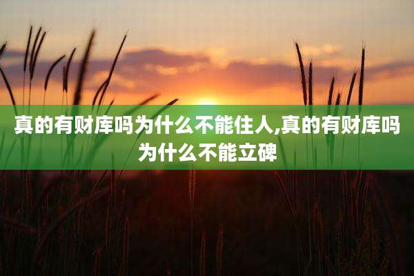 真的有财库吗为什么不能住人,真的有财库吗为什么不能立碑