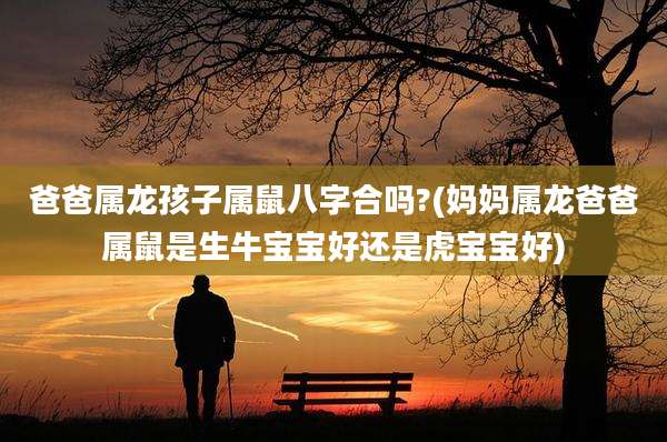 爸爸属龙孩子属鼠八字合吗?(妈妈属龙爸爸属鼠是生牛宝宝好还是虎宝宝好)