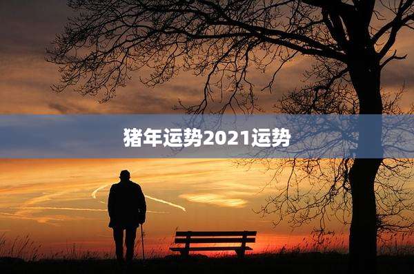 猪年运势2021运势