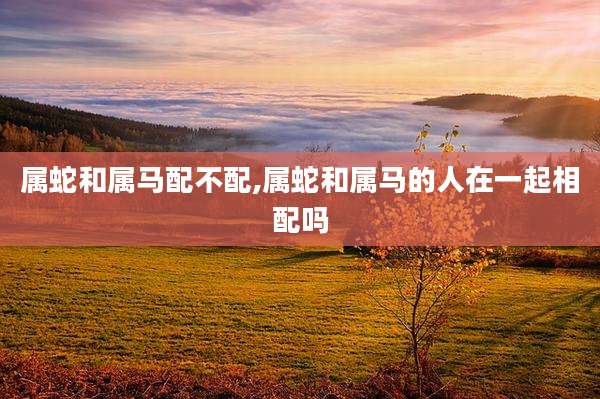 属蛇和属马配不配,属蛇和属马的人在一起相配吗