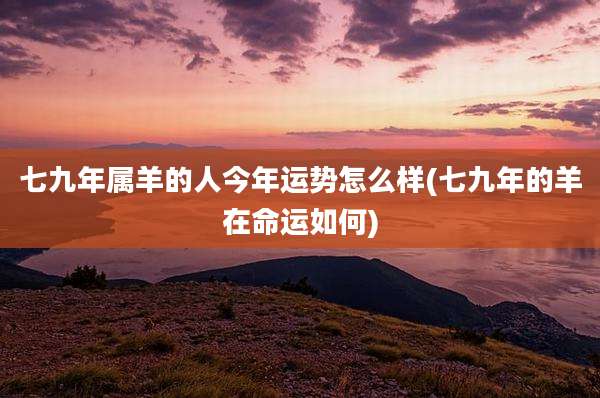 七九年属羊的人今年运势怎么样(七九年的羊在命运如何)