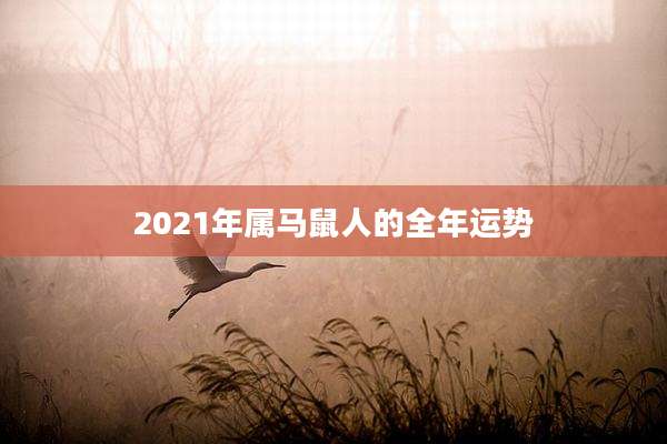 2021年属马鼠人的全年运势