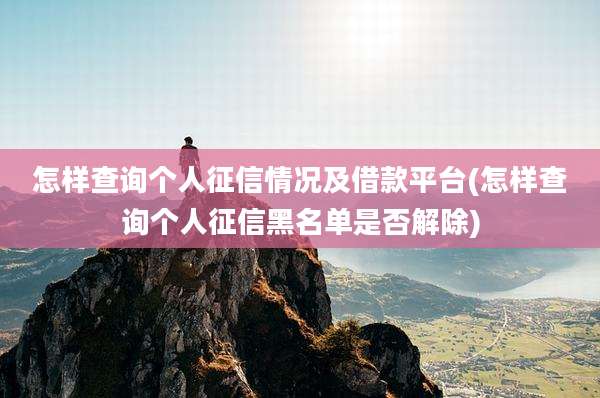 怎样查询个人征信情况及借款平台(怎样查询个人征信黑名单是否解除)