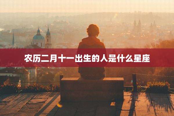 农历二月十一出生的人是什么星座