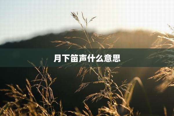 月下笛声什么意思