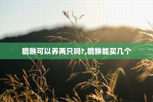 貔貅可以养两只吗?,貔貅能买几个
