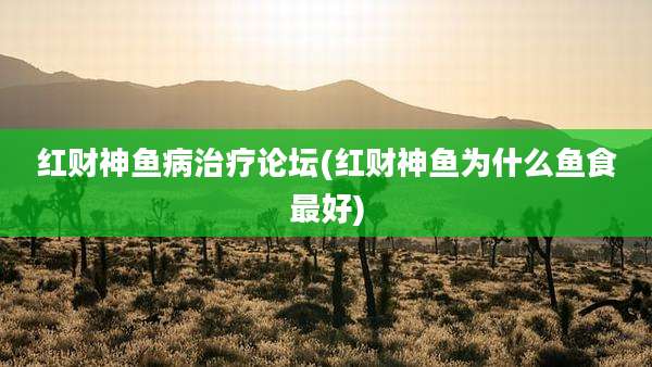 红财神鱼病治疗论坛(红财神鱼为什么鱼食最好)