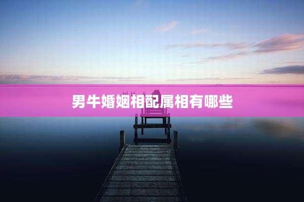 男牛婚姻相配属相有哪些