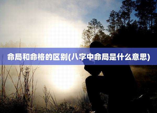 命局和命格的区别(八字中命局是什么意思)