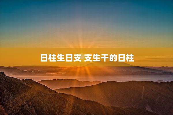 日柱生日支 支生干的日柱