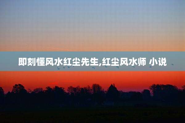 即刻懂风水红尘先生,红尘风水师 小说