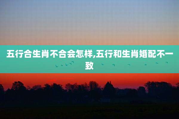 五行合生肖不合会怎样,五行和生肖婚配不一致
