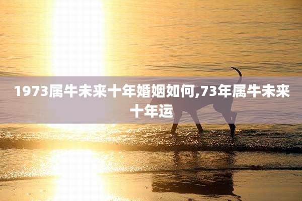 1973属牛未来十年婚姻如何,73年属牛未来十年运