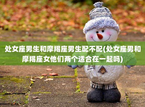 处女座男生和摩羯座男生配不配(处女座男和摩羯座女他们两个适合在一起吗)