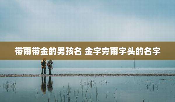 带雨带金的男孩名 金字旁雨字头的名字