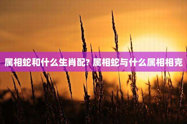 属相蛇和什么生肖配? 属相蛇与什么属相相克