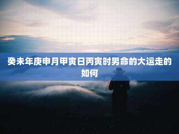 癸未年庚申月甲寅日丙寅时男命的大运走的如何