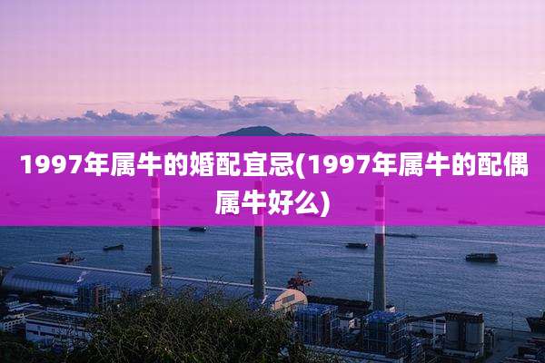 1997年属牛的婚配宜忌(1997年属牛的配偶属牛好么)