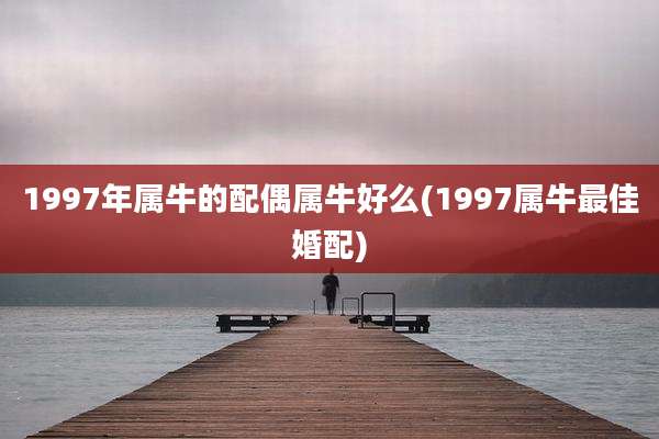 1997年属牛的配偶属牛好么(1997属牛最佳婚配)