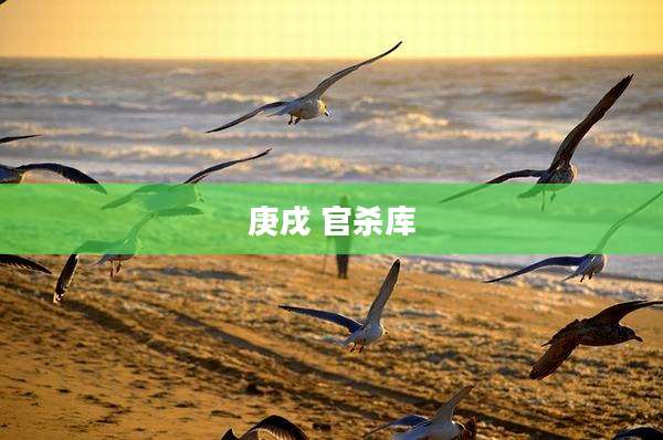 庚戌 官杀库