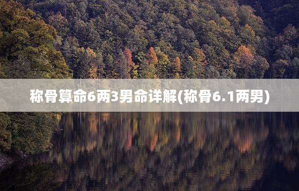 称骨算命6两3男命详解(称骨6.1两男)