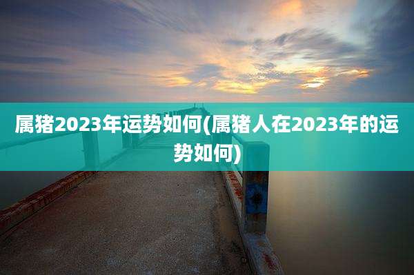 属猪2023年运势如何(属猪人在2023年的运势如何)