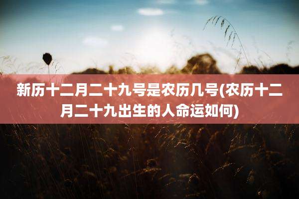 新历十二月二十九号是农历几号(农历十二月二十九出生的人命运如何)