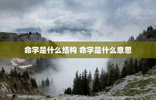命字是什么结构 命字是什么意思