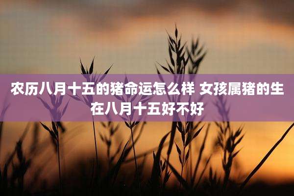 农历八月十五的猪命运怎么样 女孩属猪的生在八月十五好不好