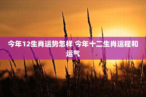 今年12生肖运势怎样 今年十二生肖运程和运气