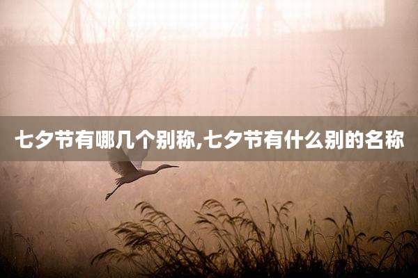 七夕节有哪几个别称,七夕节有什么别的名称