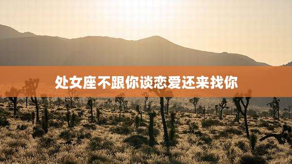 处女座不跟你谈恋爱还来找你