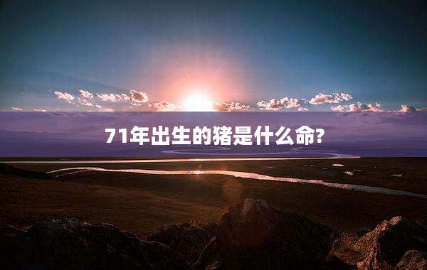 71年出生的猪是什么命?