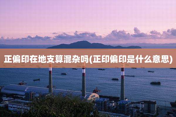 正偏印在地支算混杂吗(正印偏印是什么意思)
