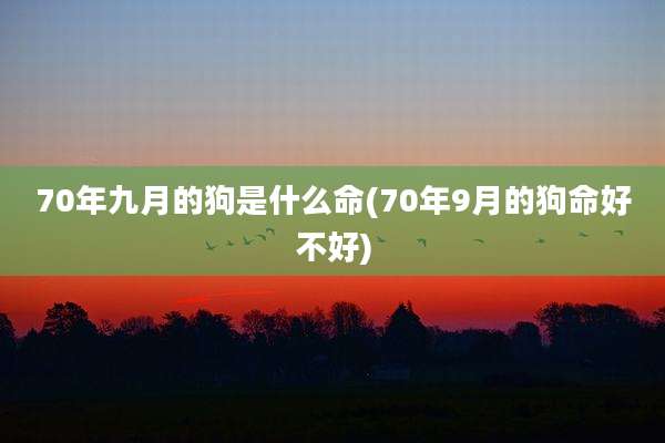70年九月的狗是什么命(70年9月的狗命好不好)