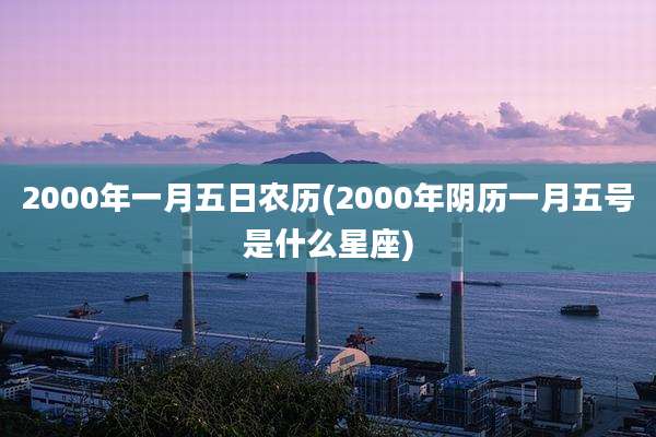 2000年一月五日农历(2000年阴历一月五号是什么星座)