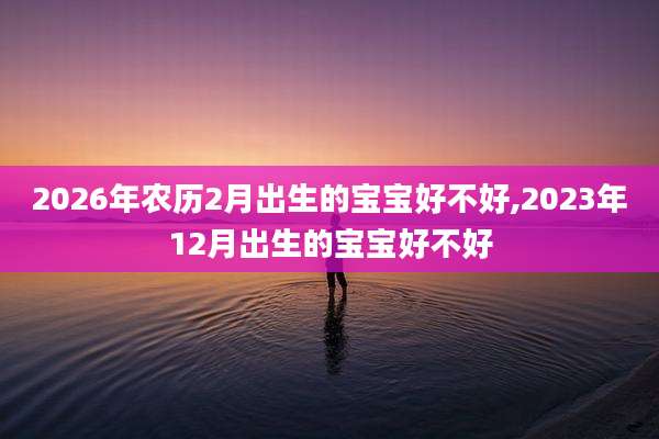 2026年农历2月出生的宝宝好不好,2023年12月出生的宝宝好不好