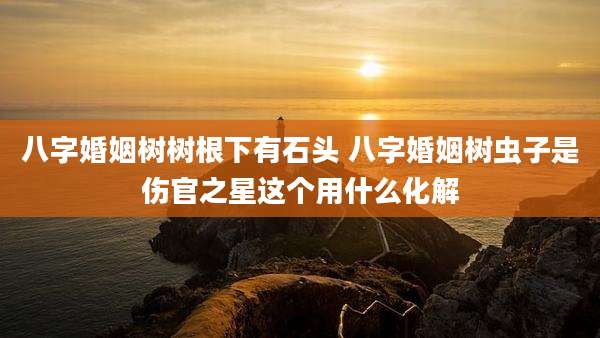 八字婚姻树树根下有石头 八字婚姻树虫子是伤官之星这个用什么化解