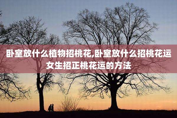 卧室放什么植物招桃花,卧室放什么招桃花运女生招正桃花运的方法