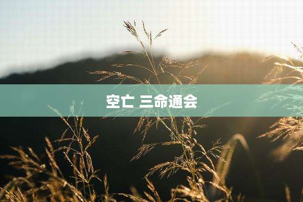空亡 三命通会