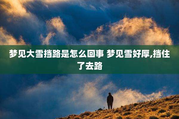 梦见大雪挡路是怎么回事 梦见雪好厚,挡住了去路
