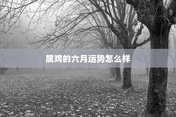 属鸡的六月运势怎么样
