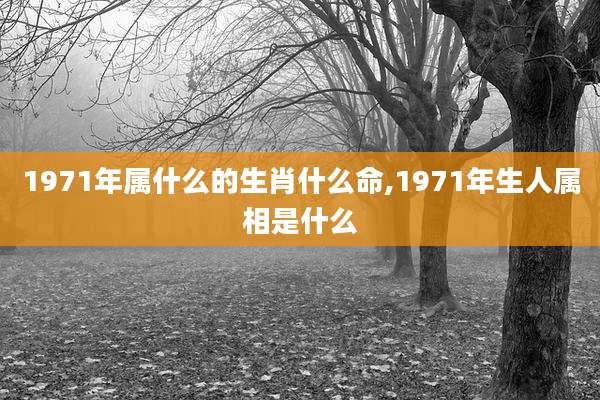 1971年属什么的生肖什么命,1971年生人属相是什么