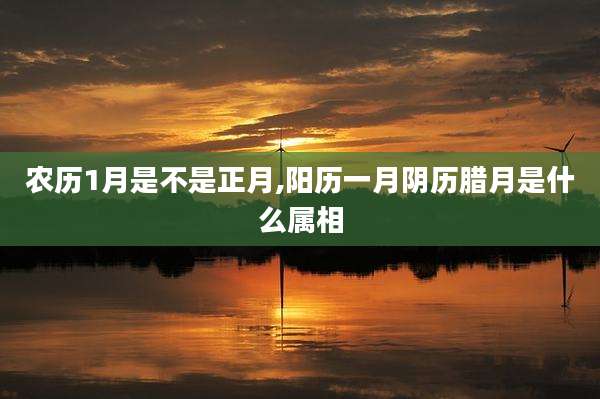 农历1月是不是正月,阳历一月阴历腊月是什么属相
