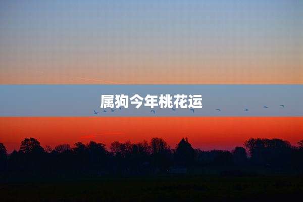 属狗今年桃花运