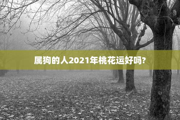 属狗的人2021年桃花运好吗?