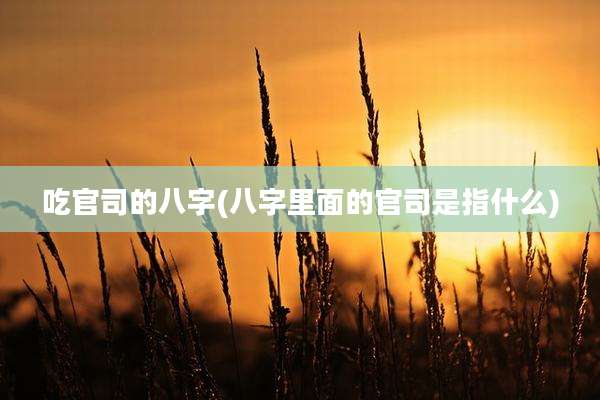 吃官司的八字(八字里面的官司是指什么)