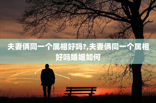 夫妻俩同一个属相好吗?,夫妻俩同一个属相好吗婚姻如何