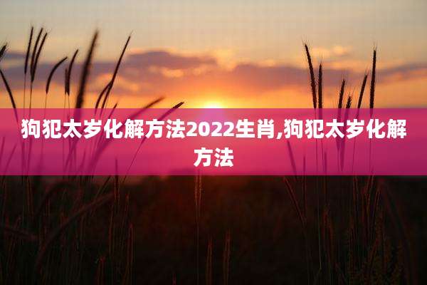 狗犯太岁化解方法2022生肖,狗犯太岁化解方法